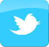 Twitter logo Update Hints