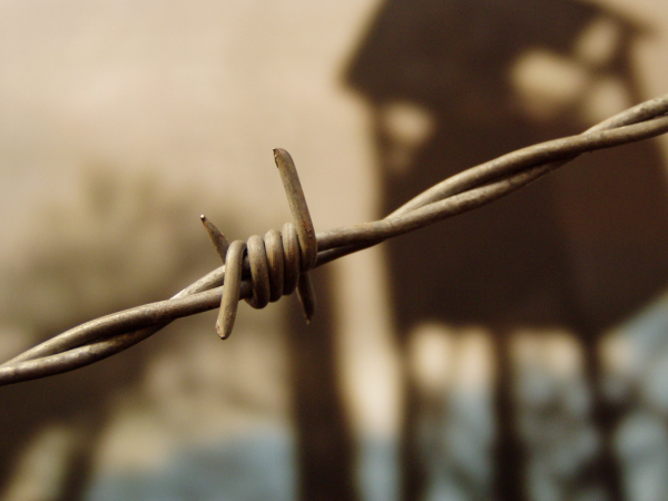 SIGNiX Digital Security Round-Up: Victories for online security