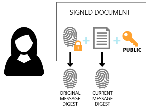 digital_signature_dummies9