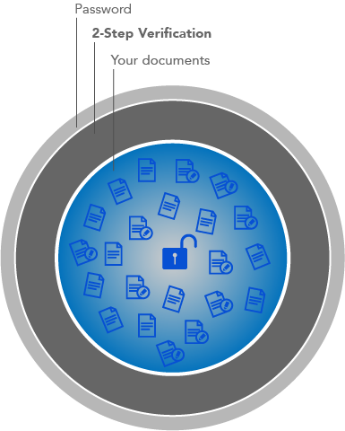 zL protection layer graphic