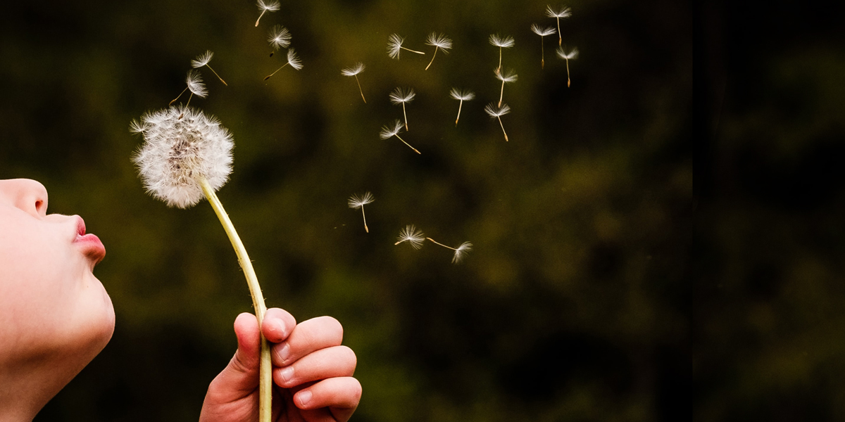 6 Ways to Attract Notary Clients, Virtually